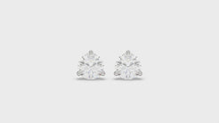 18K White Gold, video